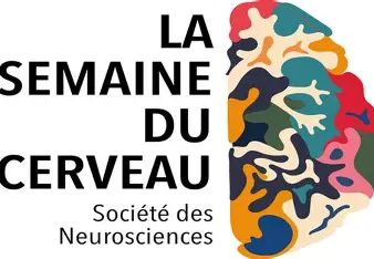 Commotions cérébrales dans le sport : dépister, évaluer, accompagner…